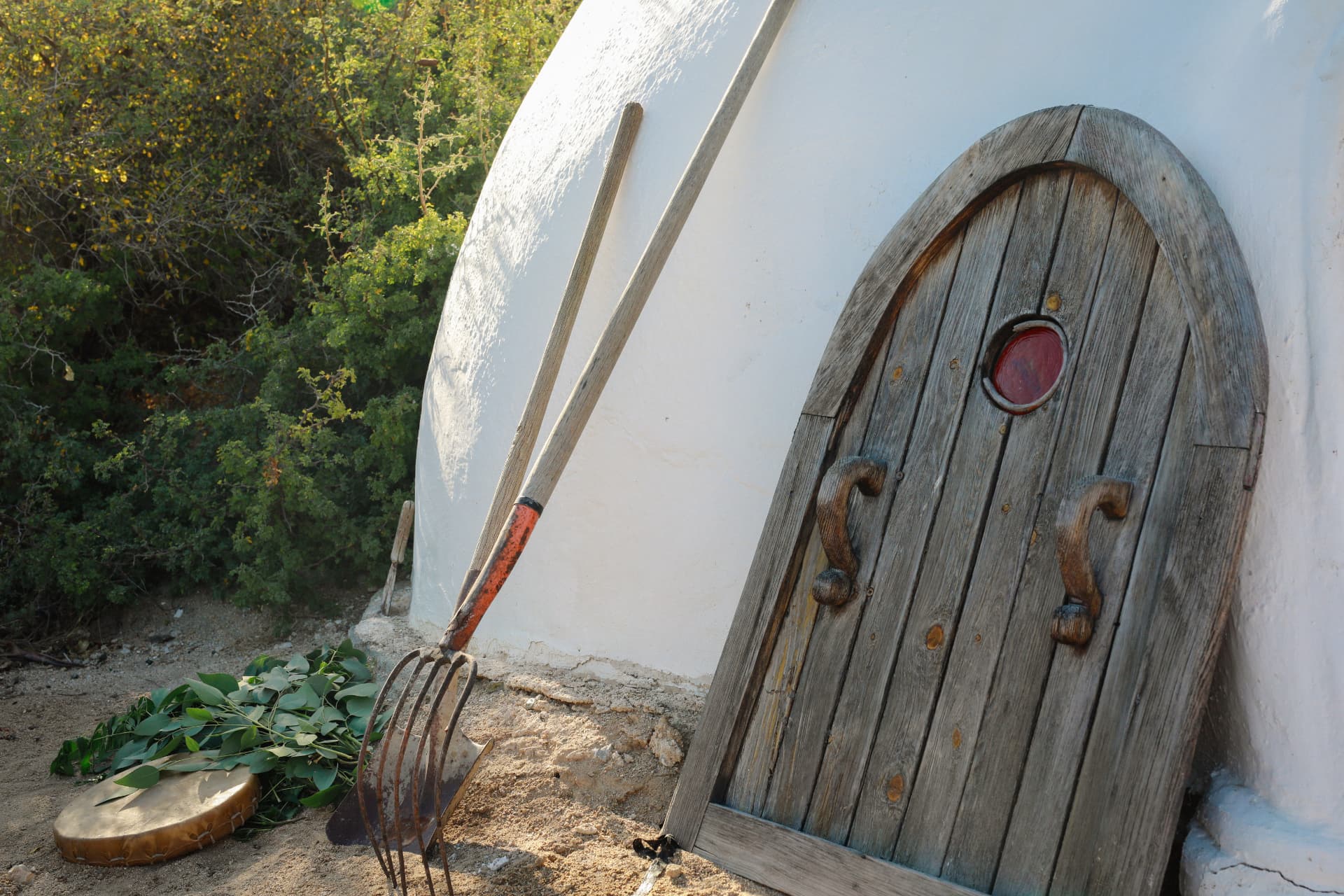 An arched wooden door set into the white domed temazcal beside desert plants