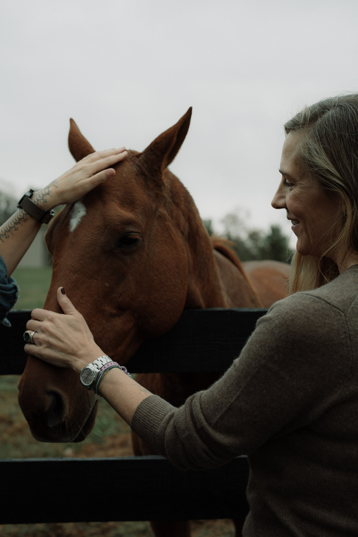 A woman resting her hands on a chestnut horse’s forehead and muzzle