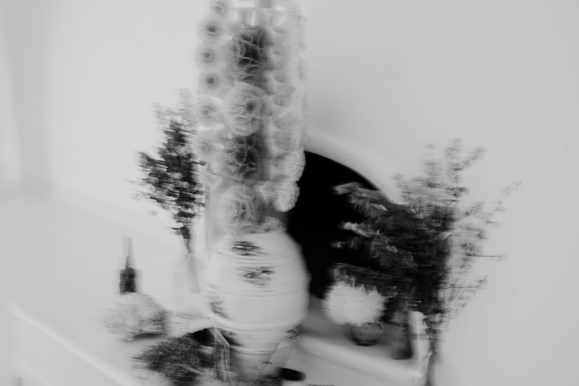 A softly blurred portrait of a woman holding flowers and a feather fan, in black and white