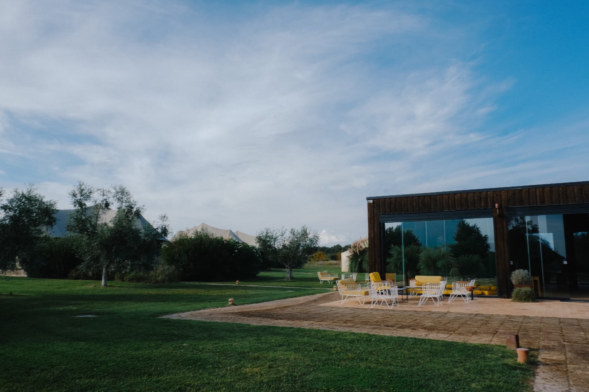 A glass-fronted building and terrace chairs beside the lawns and olive trees