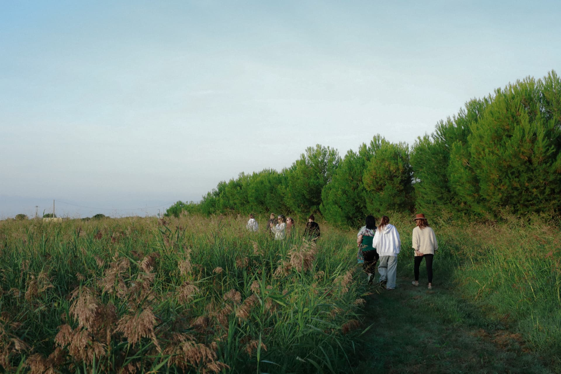 Women walking along a green path between tall grasses and trees