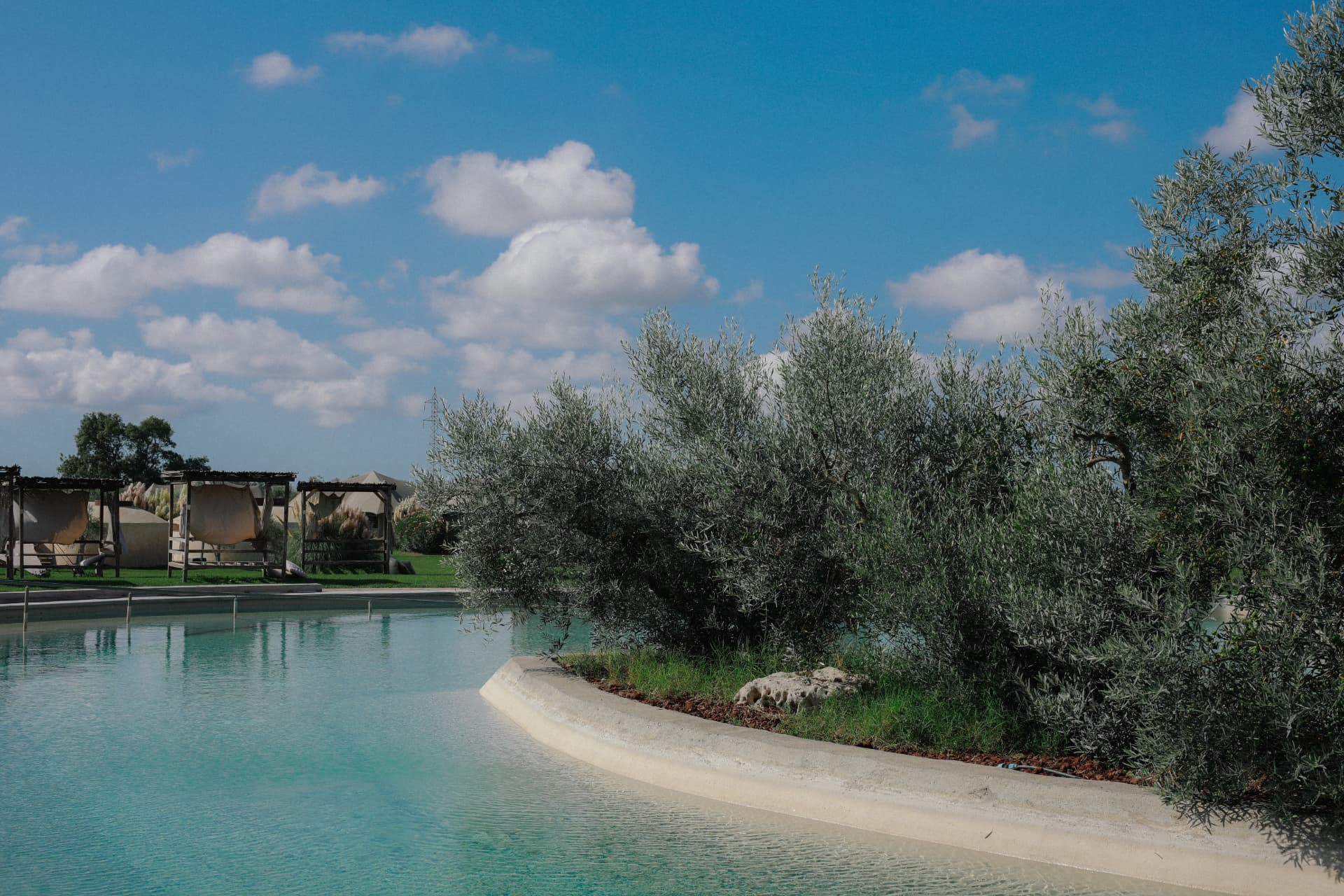 A curving thermal pool bordered by olive trees beneath a blue sky