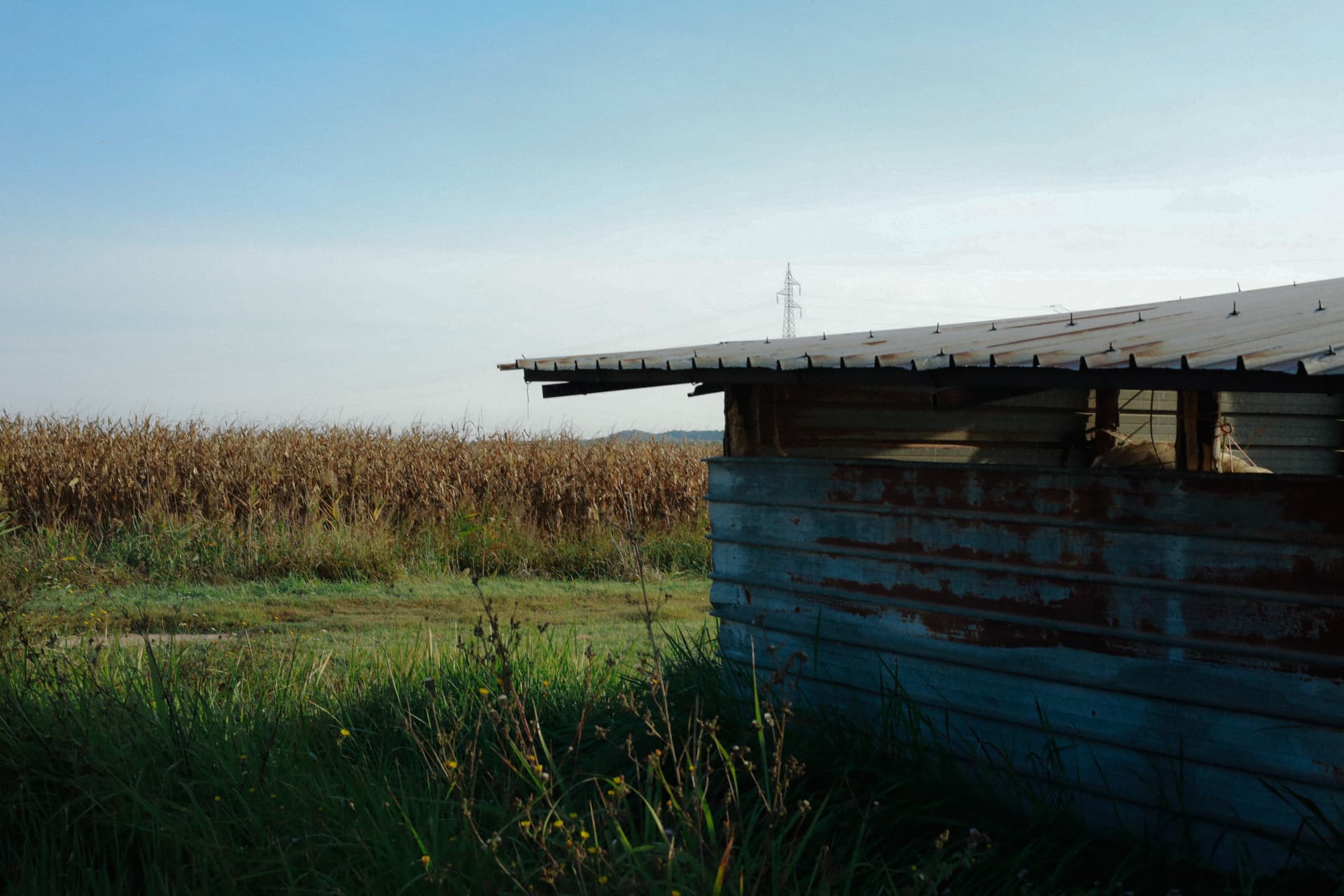 A weathered wooden structure beside open fields in the Maremma