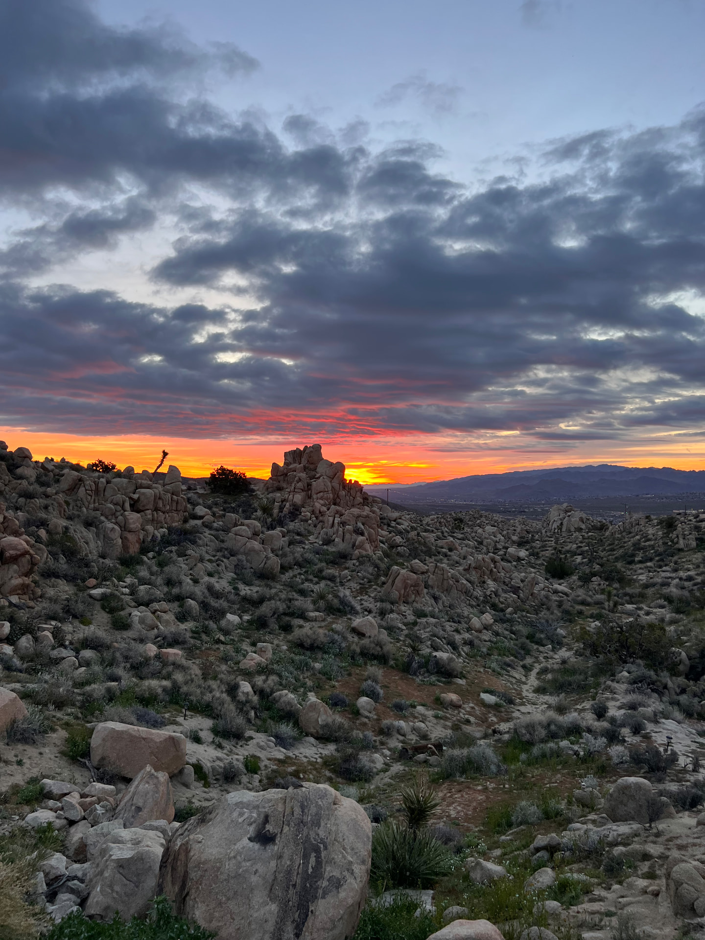 A glowing sunset beyond the rocky Joshua Tree landscape