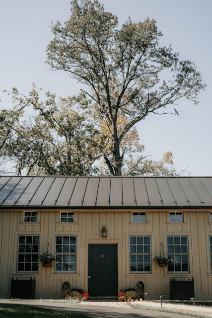 A pale garden building with tall windows beneath a tree in autumn light