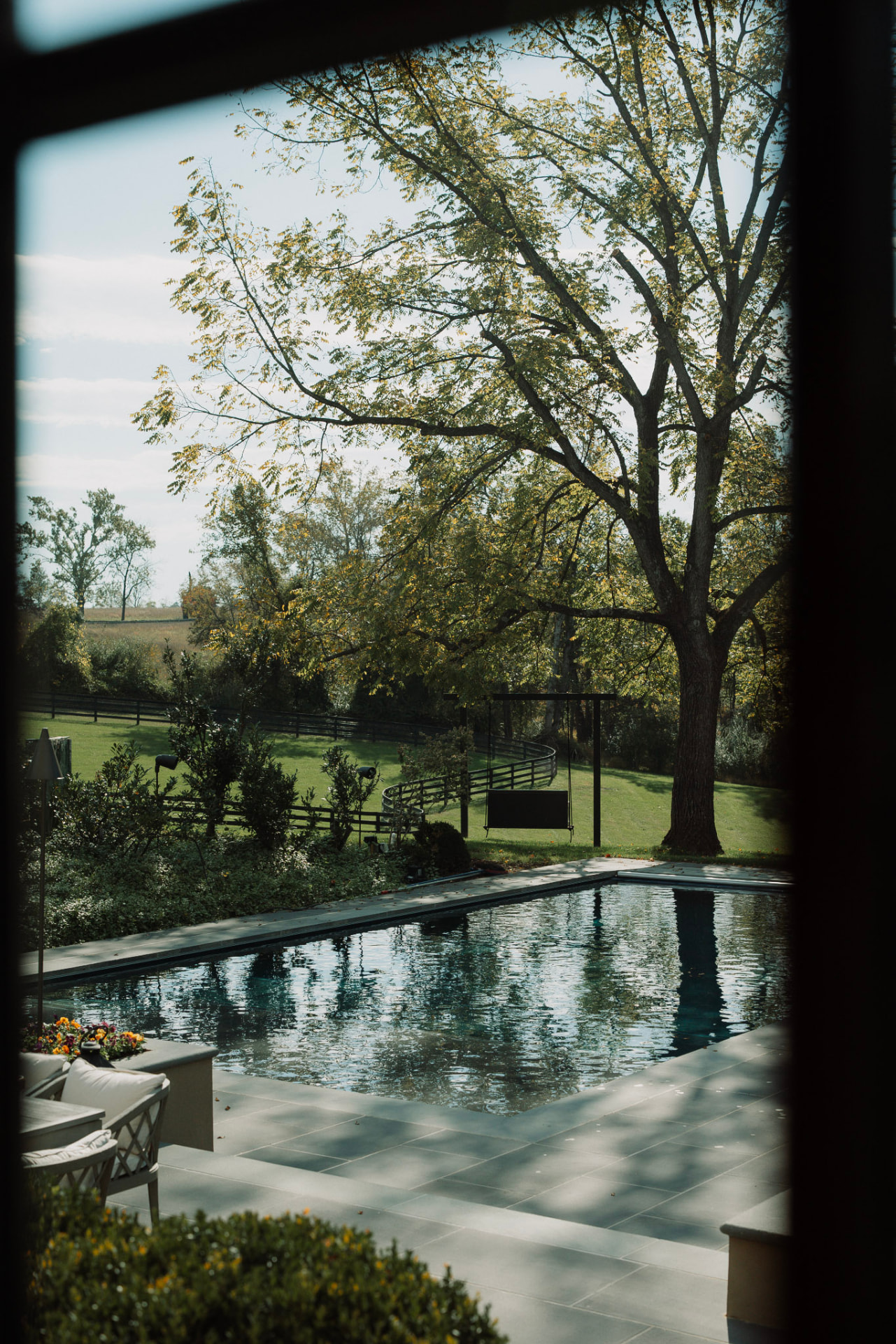 A still pool reflecting a great tree and the fenced pastures beyond, seen through a window
